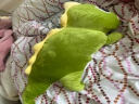 涵奕熊可爱恐龙毛绒玩具公仔抱枕床上睡觉夹腿布娃娃玩偶送女友圣诞礼物 绿色+黄色背鳍 1米 实拍图
