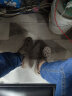 海澜之家HLA凉鞋男士休闲洞洞鞋包头拖鞋HAALXM2DBK047 卡其色40/41(双码) 晒单实拍图