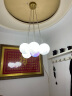 雷士（NVC）北欧客厅餐厅吊灯现代简约时尚百搭灯具可调节吊线灯饰NGD07-1 实拍图