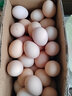 我老家高品质50g大蛋 农家新鲜谷物鸡蛋 40枚2000g 实拍图