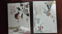 长安的荔枝、桃花源没事儿、太白金星有点烦、食南之徒等马伯庸作品集 大医日出篇+破晓篇正版显微镜下的大明两京十五日三国机密七侯笔录长安十二时辰上下册古董局中局全集风起陇西三国配角演义马伯庸笑翻中国简史  实拍图