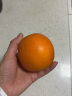 集南鲜 赣南脐橙 江西橙子新鲜现摘水果脐橙时令生鲜水果甜橙 水果礼盒 【优选橙】含箱5斤（150-210g） 实拍图