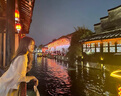 雅黛丝薇新款连衣裙夏季两件装新中式国风盘扣小个子改良旗袍裙雪纺长裙子 上衣+裙子 L （建议108-120斤） 实拍图