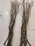 欧芽龙柳鲜枝插花客厅水培植物花卉室内鲜花水养干枝雪柳 龙柳鲜支60cm高10支【修剪发货】 水培 实拍图