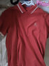 海澜之家短袖POLO衫男款凉感抗菌防螨翻领短袖男夏季 【中华龙】砖红1T 3XL 190/104A 推荐91-98kg 实拍图