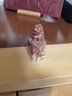 一刀印阁 狮子寿山石瑞兽篆刻定制印章姓名章落款私章石头书法书画石料章料小楷藏书国画作品引首压角盖章 2.5厘米寿山石瑞兽【锦囊款】备注定制内容 实拍图