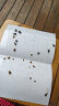 达豪 苍蝇贴粘蝇纸灭蝇神器捕蝇驱蝇器粘虫板 20张装 实拍图