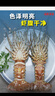鲟食 生鲜小青龙新鲜冷冻龙虾 国产超大青龙虾 海鲜大虾送礼 3只*0.8-1斤/只 大青龙虾 实拍图