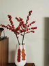 购优汇北美冬青鲜切枝鲜花束红果水培水养绿植植物室内春节年宵花卉真花 北美冬青(50cm)3支 不含花瓶 实拍图