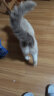麦富迪猫粮 超肉粒冻干双拼粮2kg 幼猫（冻干三文鱼） 实拍图