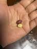 滇中拾味东北红皮花生带壳 原味炒熟红衣生花生四粒红新货下酒菜坚果炒货 【炒熟】红皮花生 2500g*1袋 实拍图