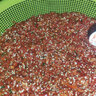 志高（CHIGO） 绞肉机家用搅肉机全自动搅碎菜器蒜泥多功能料理机小型绞肉馅机电动饺子碎肉机打肉机 全钢速绞【单刀】 2L 实拍图
