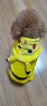 阿莫尔网红猫咪衣服秋冬季搞怪狗狗衣服可爱搞笑小型猫犬四脚衣连帽泰迪 皮卡丘变身装 S(建议3-5斤具体参考胸围背长) 实拍图