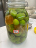 喜碧（Scybe）泡酒容器密封罐6斤装泡酒瓶泡菜坛子腌菜缸腌蛋玻璃罐潘多拉3.2L 实拍图