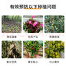德沃多肥料（DEWODUOFEILIAO）流体硼园艺水溶肥植物叶面肥蔬菜水果花肥硼肥花卉液体肥1.35kg 实拍图