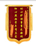 瑞耀锦旗定制锦旗定做感谢医生老师定制赠送幼儿园教师物业月嫂生日订做美容院高档植绒装修旌旗制作 【推荐】发泡闪金字（豪华大龙须）70*110cm 实拍图