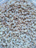 硃碌科 有机小麦米1.5kg小麦仁 东北特产杂粮3斤粗粮真空装粥米伴侣 实拍图