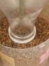 德沃多肥料 蛭石5L(1-3mm) 多肉绿植花卉植物基质 无土栽培介质 营养土配土 疏松透气改善土壤 实拍图