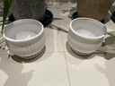 仟尚亿随机八个花盆陶瓷批发带托盘家用绿萝创意简约多肉植物小多肉花盆 大白大号2个17cm 中等 实拍图