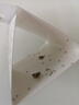 加品惠飞蛾诱捕器强效家用灭飞蛾衣蛾蚋蛾蠓米面蛾子粘板10片 实拍图