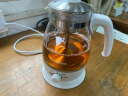 金灶（KAMJOVE） 养生壶煮茶器喷淋式煮茶炉白茶壶黑茶壶办公室家用蒸汽煮茶壶1L 白色 实拍图