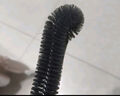 梦庭 长柄杯刷可弯曲水壶刷子水杯清洗神器破壁机奶瓶刷保温杯洗锅刷 实拍图