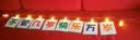 佳妍生日卡片彩灯挂饰 派对场景布置拍照道具夹子灯【送投屏】 实拍图