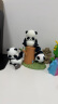 52TOYS Panda Roll熊猫也是猫盲盒动漫潮玩摆件玩具整盒8只送礼好物 实拍图