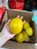 维记四川安岳黄柠檬鲜果一级大果当季新鲜水果皮薄好果泡水小柠檬 精选大果 10粒装 晒单实拍图