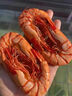 鳌鲜有货烤虾干特大九节虾干开袋即食原味超大号对虾仁干货特产礼盒一斤装 超大号九节虾干1斤(约38只)礼袋 实拍图