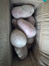 【真便宜】云南红皮土豆高原黄心土豆云南土豆新鲜红皮黄心洋芋 3斤大果【单果150g+】 实拍图