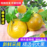 正宗德庆皇帝柑新鲜水果贡柑茂谷10斤广东当季桔子媛爱橘柑沃大果 5斤装中大果 实拍图