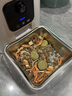 MamyPets磷虾蛋黄肉松冻干猫零食猫粮伴侣营养宠物猫咪粮挑食鸡肉松40g 实拍图