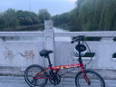 大行（DAHON）折叠自行车20英寸8级变速经典P8单车KBC083 红色纪念款-京仓 晒单实拍图