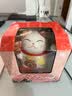 赟娅太阳能招财猫迷你车载小摆件自动摇手家居办公新年礼物 高11cm风生水起【太阳能】 实拍图