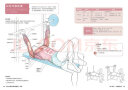肌肉力量训练解剖图谱（新版） 实拍图