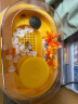 酷奇宠乌龟缸生态缸龟缸巴西水龟养殖箱专用缸饲养箱爬宠用品 黄色小号带水泵+造景套餐 晒单实拍图