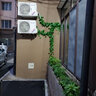 盛世泰堡 仿真葡萄叶葡萄藤条装饰塑料花藤空调管道布置含扎带30叶12条装 实拍图