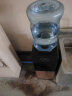 长虹（CHANGHONG）饮水机家用立式快速加热温热型饮水器CYS-E162D 实拍图