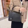 狄梵普（DIFANPU）2026新款女士包包手提斜挎包枕头包生日实用送女友送老婆礼物 黑色【精美礼盒】 实拍图