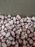 嘉乡情2025新生花生米 大白沙花生米生特级白皮农家自产大粒花生仁 净重3斤【1500g] 实拍图