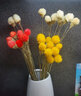 干花花束植物干花真花永生花勿忘我干花多色草莓果干花办公室客厅茶几餐桌摆放装饰艺术插花小花束 黄色草莓果12支（不含花瓶） 实拍图