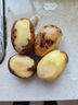 恩施小土豆新鲜马铃薯农家黄心洋芋现挖蔬菜马铃薯 3斤 小果 乒乓球左右大小 实拍图