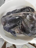鲜七星农家散养五黑鸡乌鸡整只2.7斤左右乌骨鸡月子鸡黑土鸡老母鸡孕妇 1只装 实拍图
