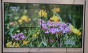 三星（SAMSUNG）4K超高清全面大屏HDR 窄边框液晶卧室客厅会议智能显示屏 免费上门安装 PS5游戏电视平板巨幕 55英寸 4K超清 实拍图