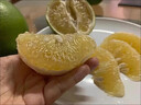 攸竹新鲜青皮葡萄柚子 黄金葡萄柚 爆汁葡萄柚 青皮西柚皮薄多汁肉嫩 5斤 普通装 实拍图