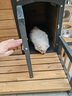 田园顽狗室外实木狗窝狗屋狗房子别墅加大特大号防雨防晒户外木质宠物用品 普黄+黑色M实木门款 晒单实拍图