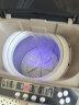 扬子11.6KG智能风干全自动洗衣机家用蓝光洗护大容量波轮洗脱一体机 咖色 晒单实拍图