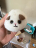 昙蓓漫拉绳摇尾巴玩具小猫咪毛绒公仔会动的网红小猫咪卡通玩偶拉线转圈 【毛绒可爱】拉绳驱动猫咪 17cm拉绳可摇尾巴 实拍图