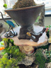 瓷牌茗茶具 创意紫砂盖置茶托壶盖碗夹托茶宠摆件茶具茶道配件茶漏滤架子 A款（黄色）喜上眉梢茶托盖置 实拍图